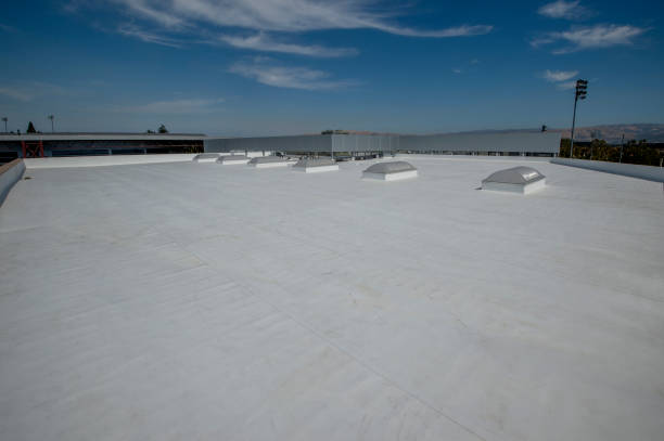 Best Roof Coating and Sealing  in Livonia, MI