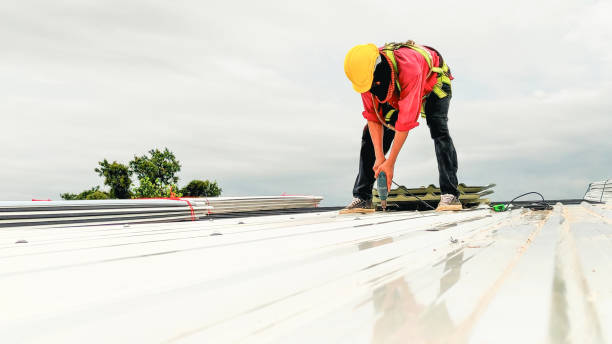 Best Roof Ventilation Installation  in Livonia, MI