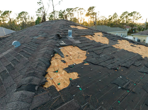 Best Roofing for New Construction  in Livonia, MI