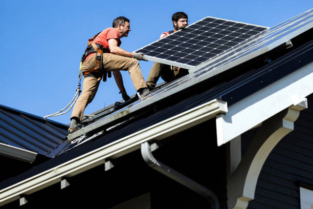 Best Chimney Flashing Repair  in Livonia, MI