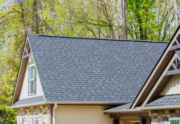 Best Solar Panel Roofing Installation  in Livonia, MI