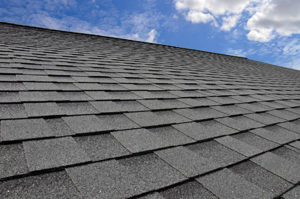 Best Asphalt Shingle Roofing  in Livonia, MI