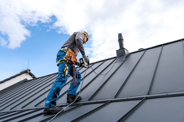 Best Roof Insulation Installation  in Livonia, MI