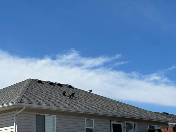 Best Tile Roofing Installation  in Livonia, MI